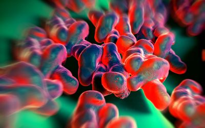 Biosecurity against antibiotic resistance. Photo: Shutterstock