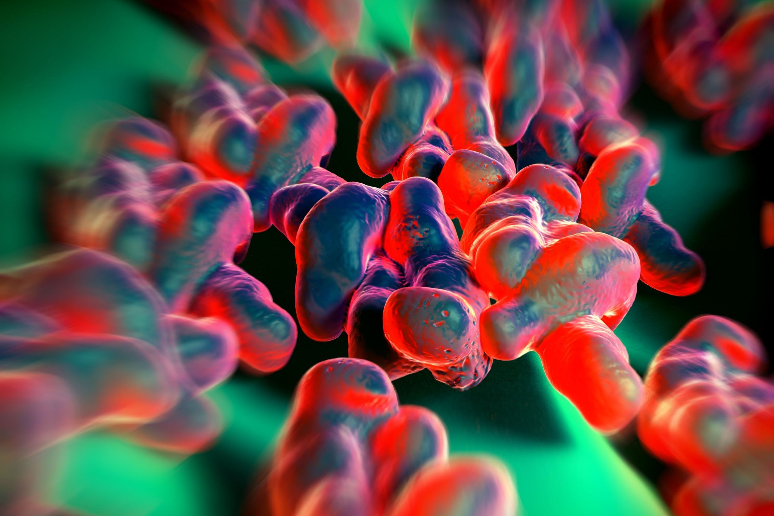 Biosecurity against antibiotic resistance. Photo: Shutterstock