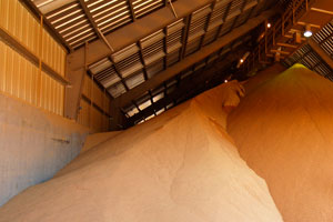 Ukraine to produce 120 mln tonnes of grain