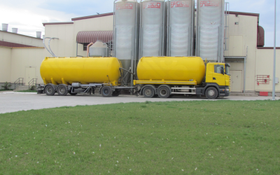 Russian feed sector demands domestic oilseeds. Photo: Vladislav Vorotnikov
