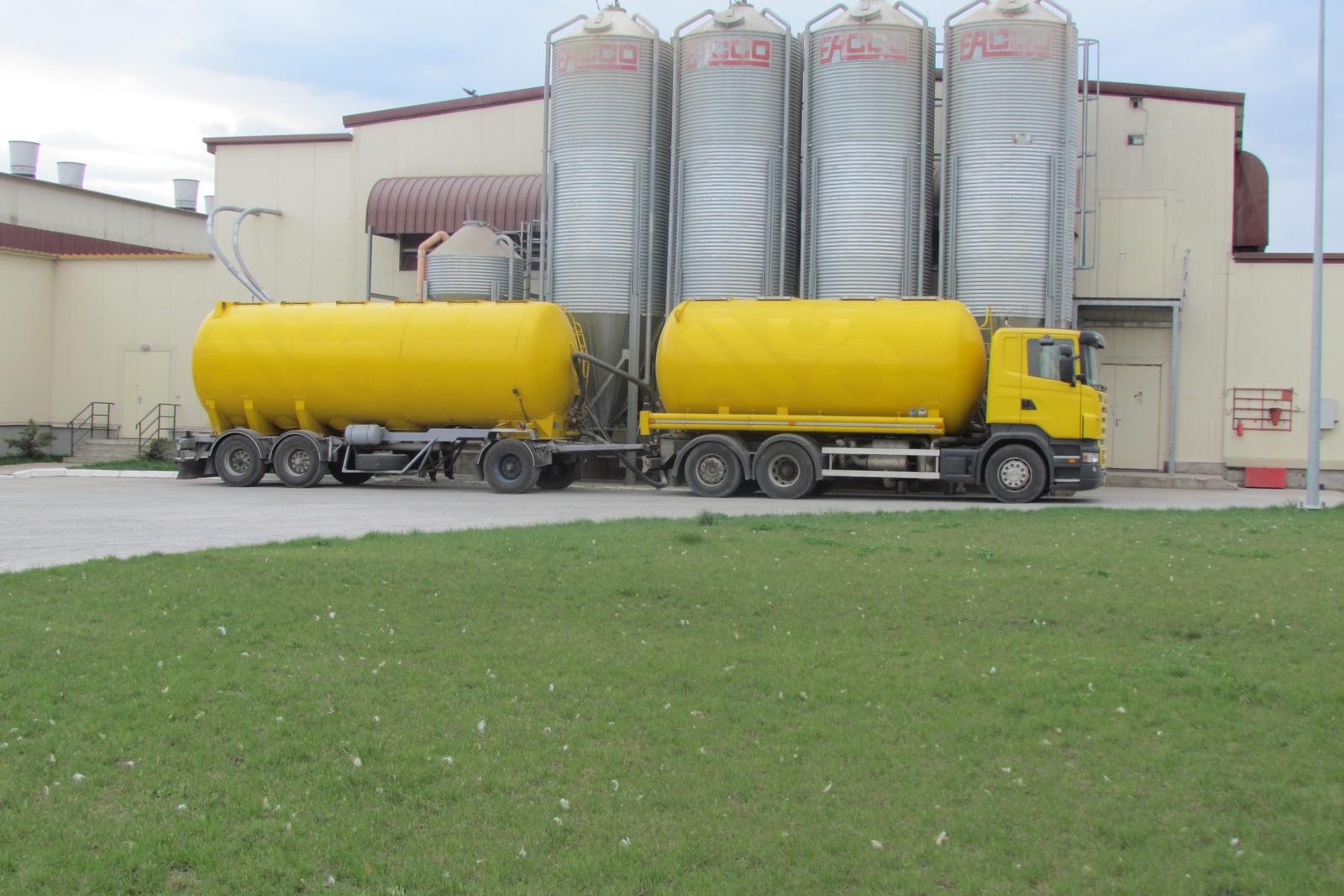 Russian feed sector demands domestic oilseeds. Photo: Vladislav Vorotnikov