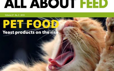 Technology focus in issue 4 of All About Feed