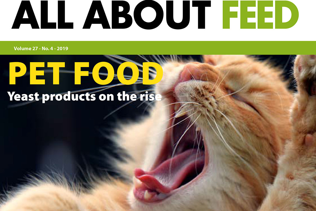 Technology focus in issue 4 of All About Feed