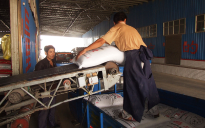 Employees manually handling heavy bags of feed