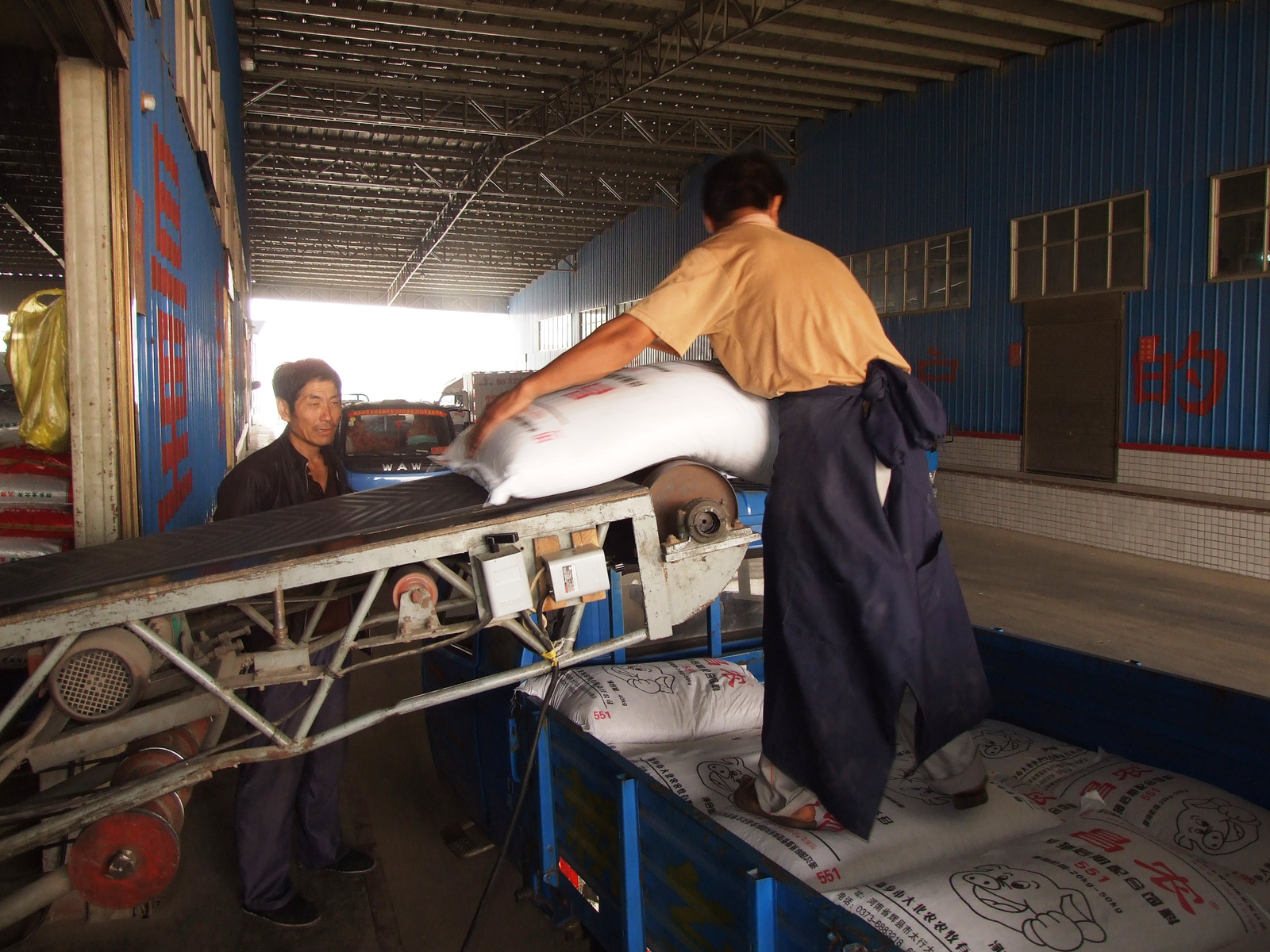 Employees manually handling heavy bags of feed