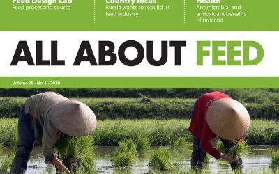 First All About Feed edition of 2020 now online