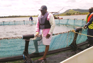 New fish factory to provide employment in Zambian village