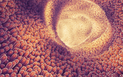 Gut health: Opportunities and challenges. Photo: Shutterstock