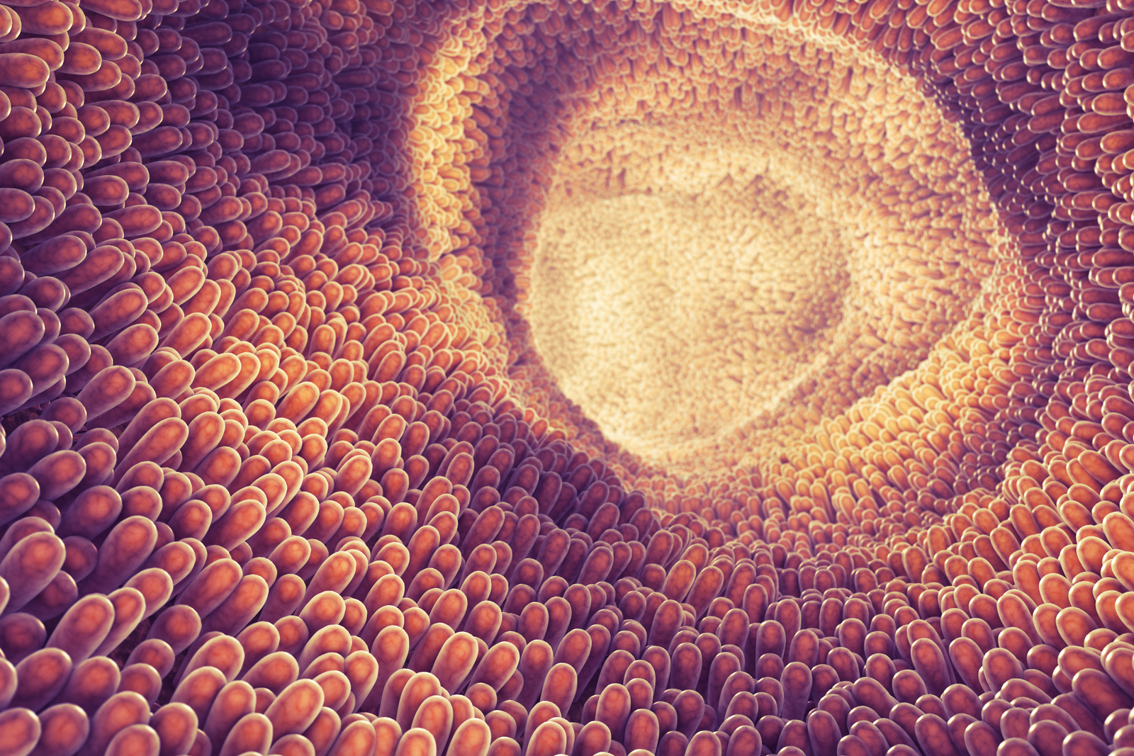 Gut health: Opportunities and challenges. Photo: Shutterstock