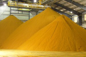 DDGS overtakes soybean feeds in US