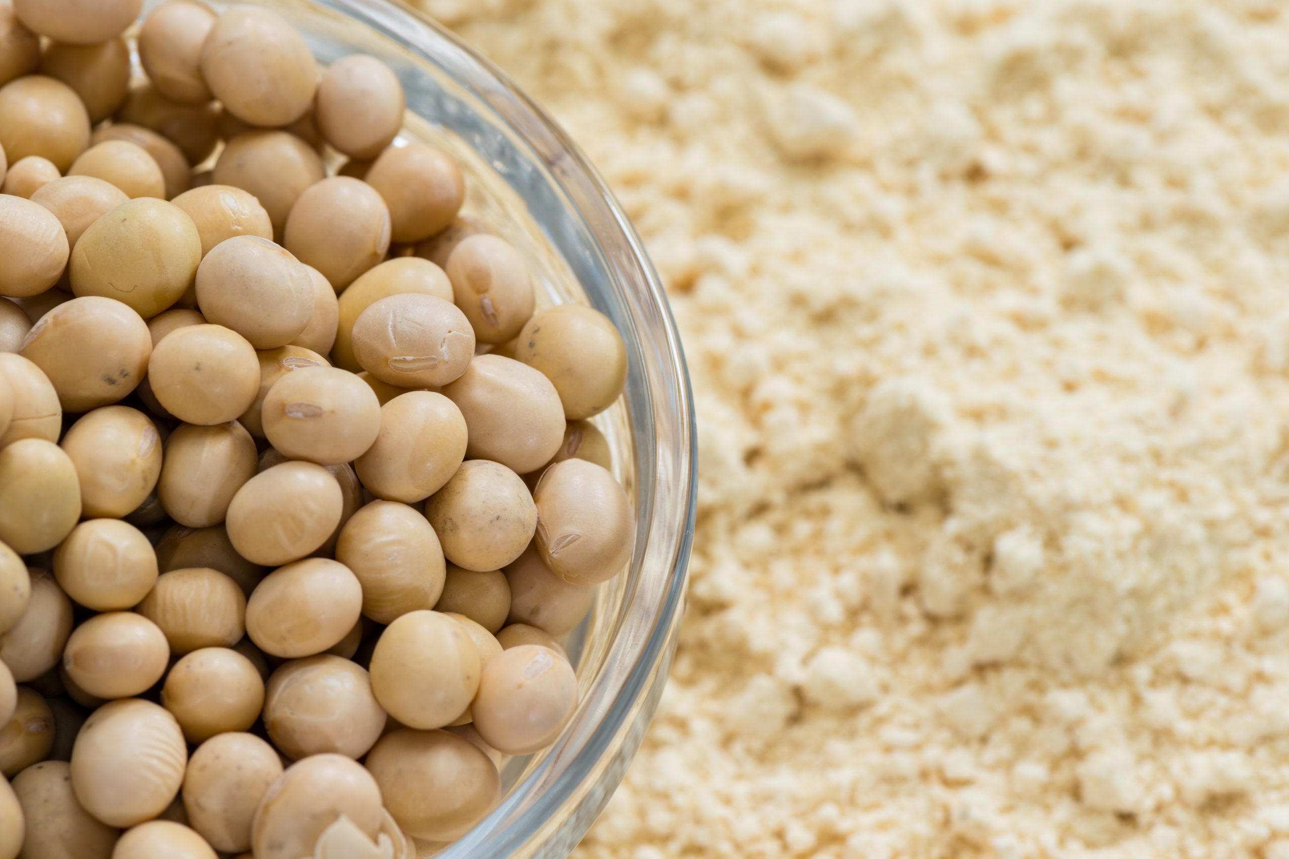 Acute shortage of soybean meal in Russia. Photo: Shutterstock, HandmadePictures