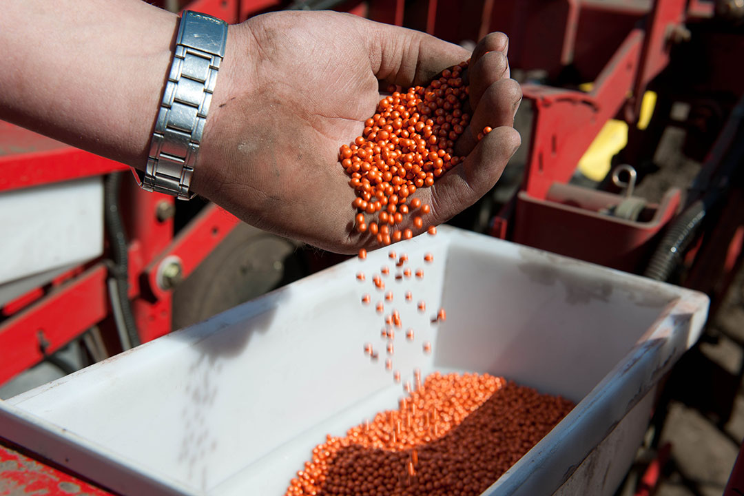 Merger wave: Effect on crop seed prices. Photo: Mark Pasveer