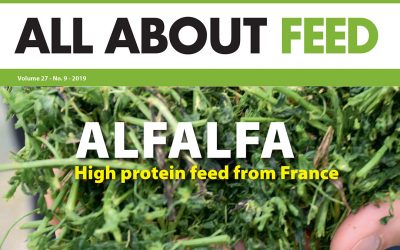 9th edition of All About Feed now online