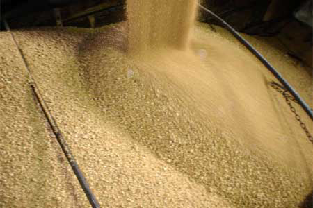 Ukraine begin export of soybean meal to Turkey and Georgia