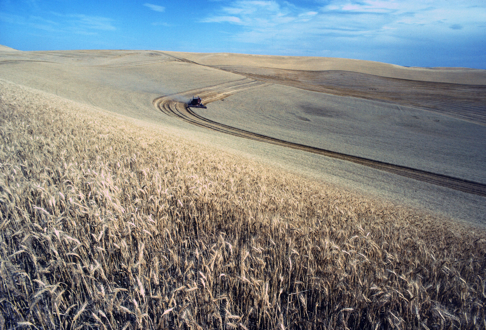 animal feed sustainability