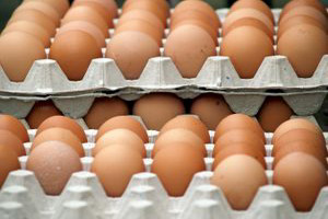 Feed shortages cause drop in Moldovan egg production