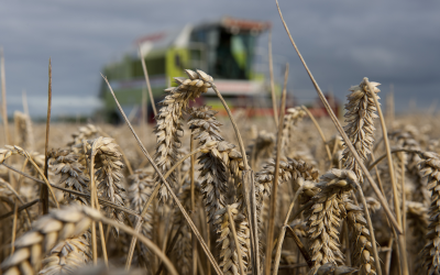 Edgy market produces grain price spikes