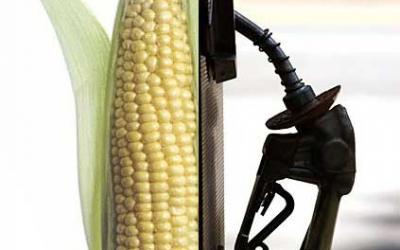More pressure to waive US ethanol obligation
