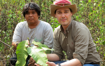 Delacon trees in Thailand grow well