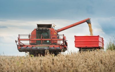 Global soybean market is changing