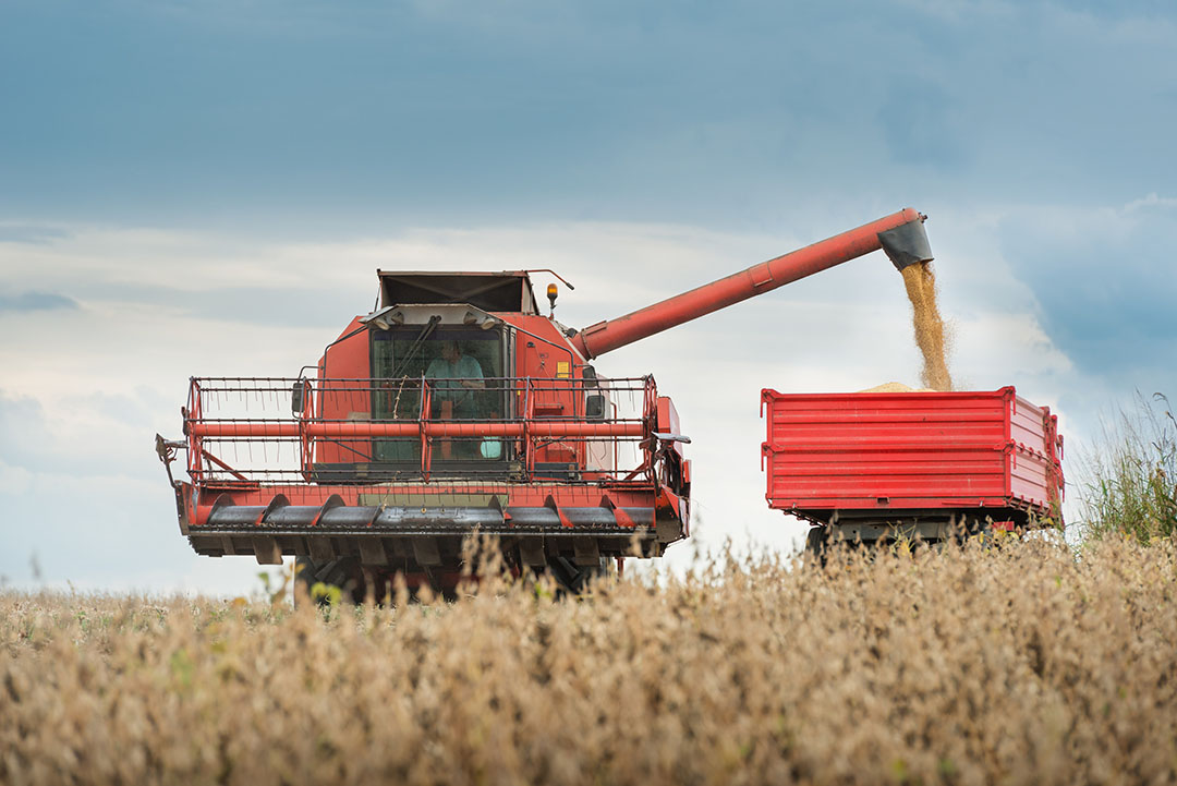 Global soybean market is changing