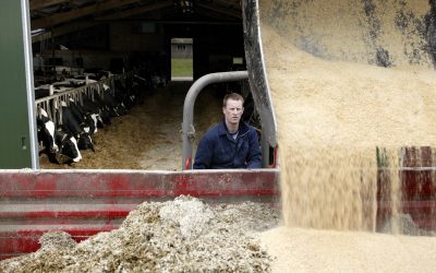 Raw material use in EU feeding. Photo: Hans Prinsen