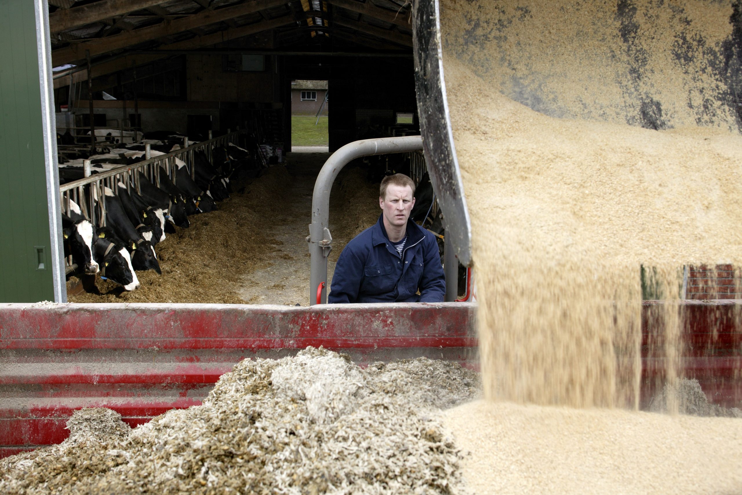 Raw material use in EU feeding. Photo: Hans Prinsen