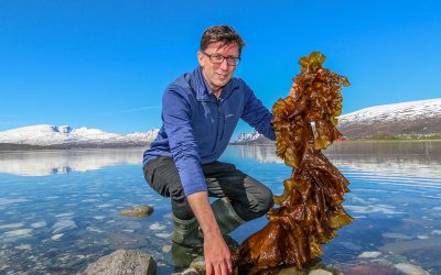 Philip James from New Zealand coordinates AquaVitae, an ¬ 8 million EU funded low-trophic aquaculture project. Here holding an example of macroalgae in Tromsø, Norway. Macroalgae is one of the five value chains to be addressed in the project. Photo: Nofima