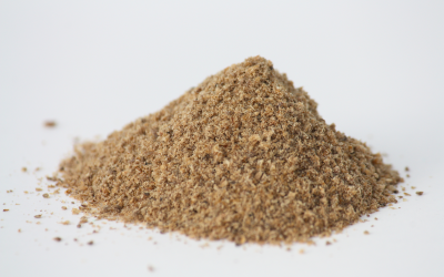 TMP insect meal from mealworms (Tenebrio molitor larvae). <em>Photo: Ynsect</em>