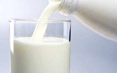 Nutrition and its effect on milk composition. Photo: Shutterstock