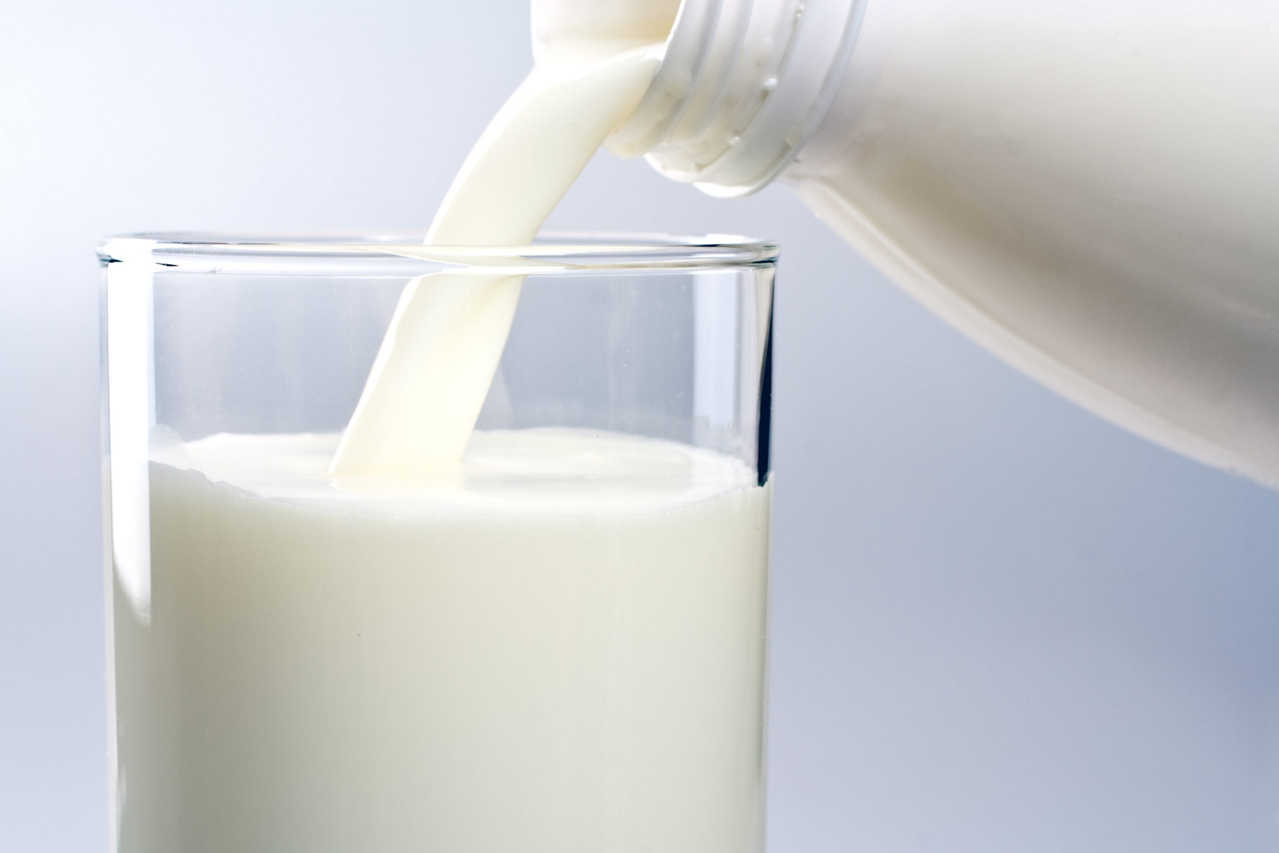 Nutrition and its effect on milk composition. Photo: Shutterstock