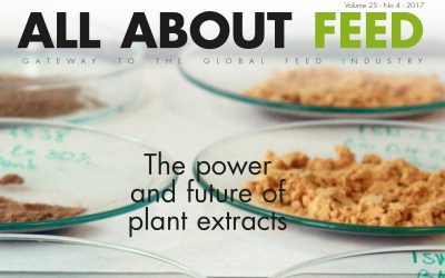 All About Feed issue 4 now available online