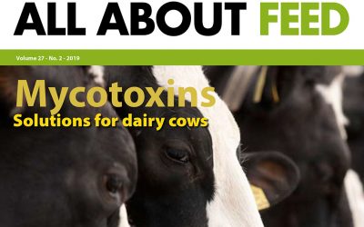 New edition of All About Feed now available online