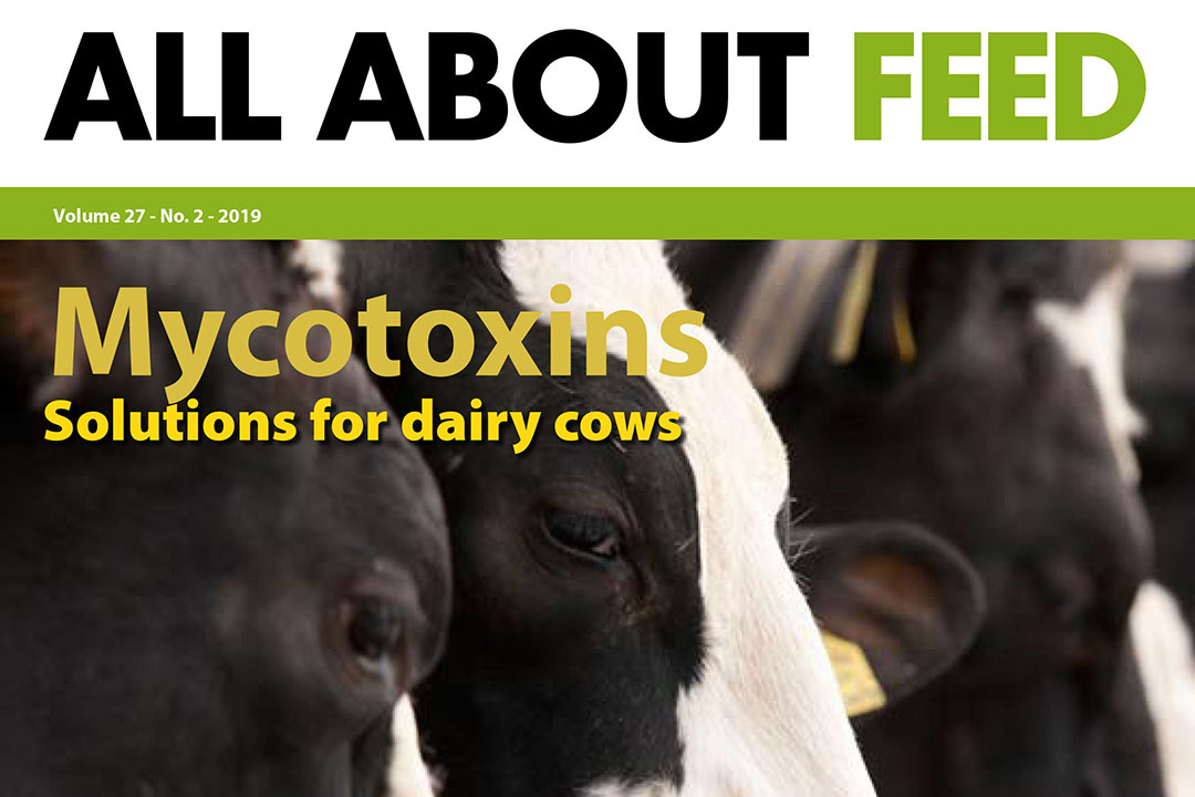 New edition of All About Feed now available online