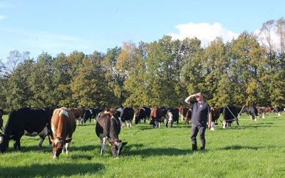 Peter wanted to try farming a different way than what they had been doing in the past years.