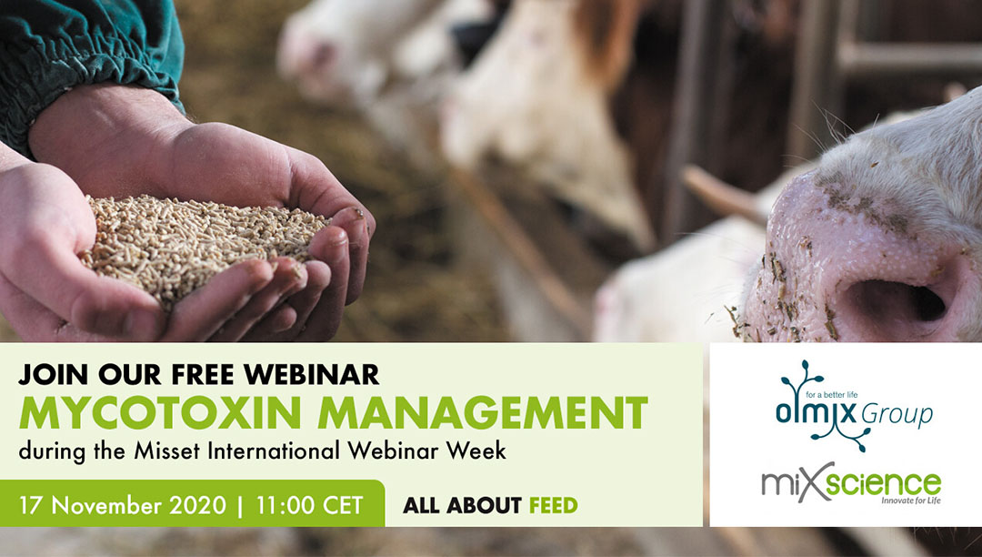 International Webinar Week: Mycotoxin management