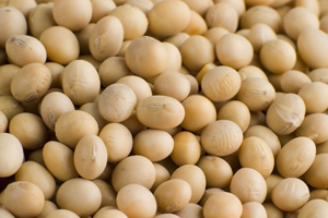 Argentina to plant more soy
