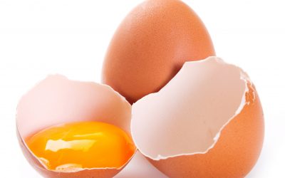 raw eggs isolated on white background; Shutterstock ID 175882598; PO: World Poultry