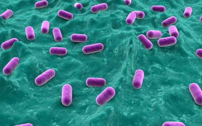 Evonik wants to market probiotics in Asia Pacific. Photo: Dreamstime