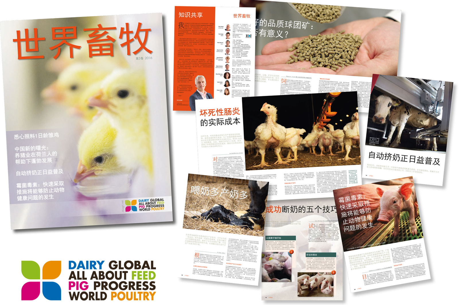 All About Feed publishes 3rd Chinese special