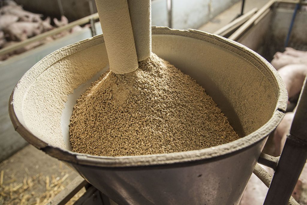 Mixer types reviewed All About Feed