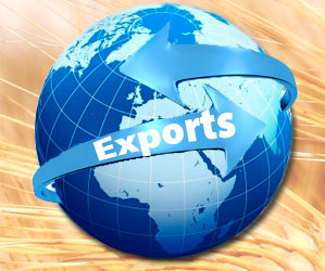 Kazakhstan raises grain harvest and export forecasts