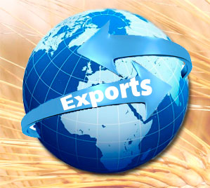 Kazakhstan raises grain harvest and export forecasts