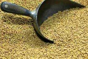 Large feed premix factory to be launched in Russia