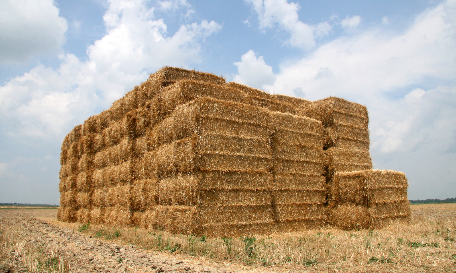Drought forces hay prices to sky rocket