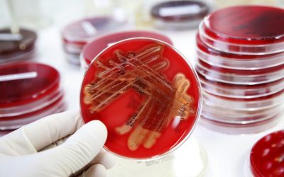 Russia to work on antimicrobial resistance. Photo: Shutterstock
