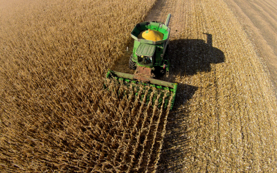 Fighting corn disease with big data.Photo: Shutterstock
