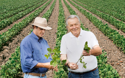 Partnership: Bayer and Cefetra for responsible soy