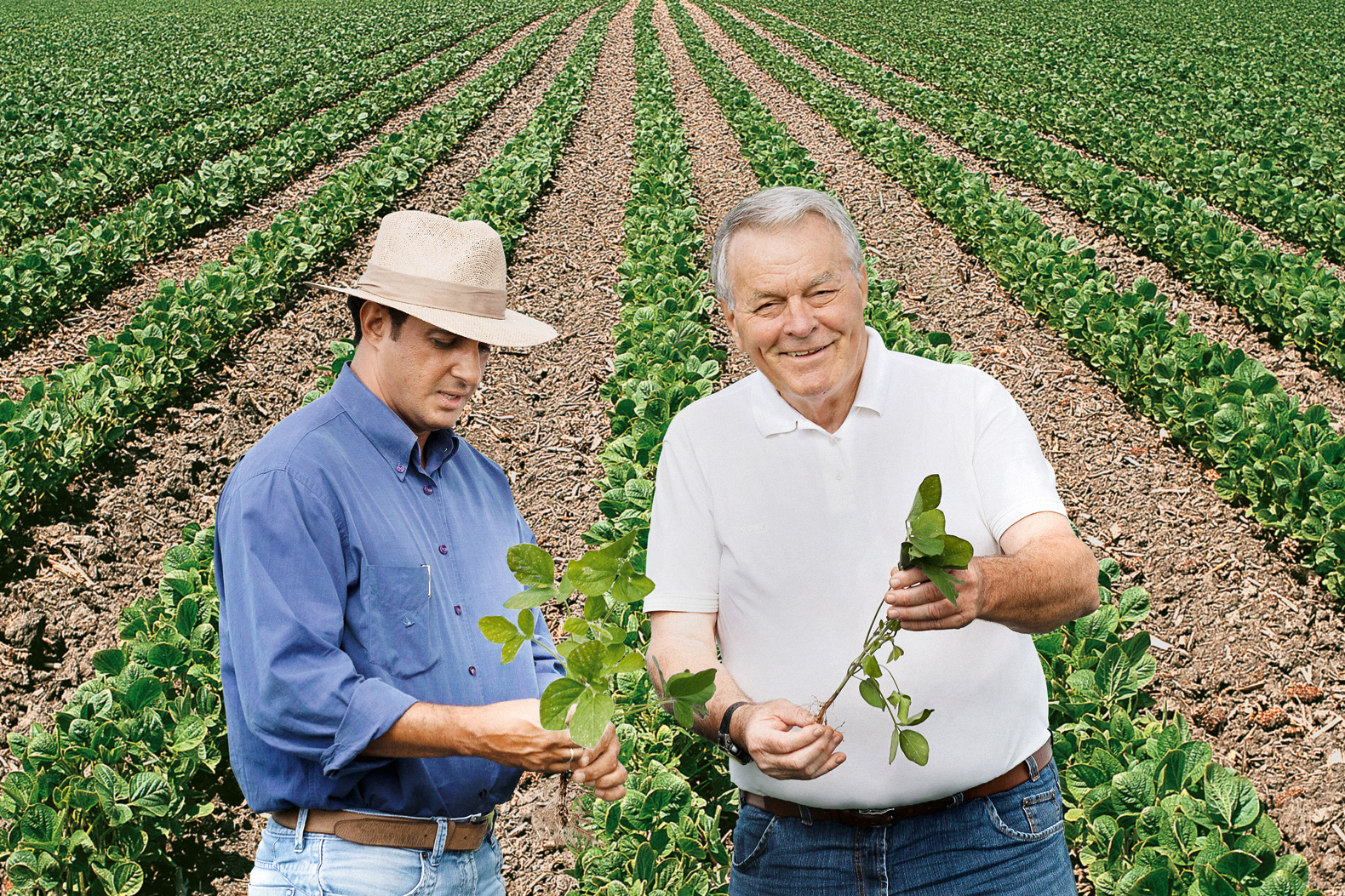 Partnership: Bayer and Cefetra for responsible soy