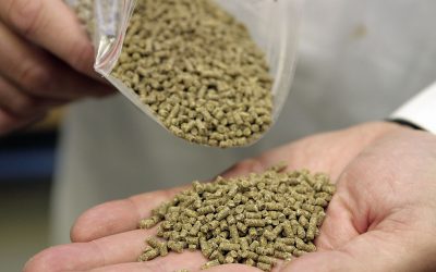 Can specialty feed ingredients meet societal challenges?